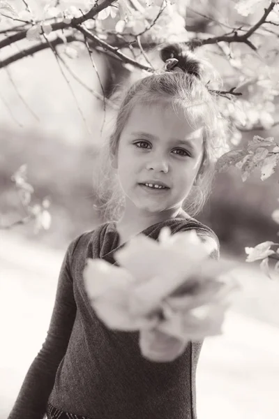 Mooie peuter meisje in herfst — Stockfoto