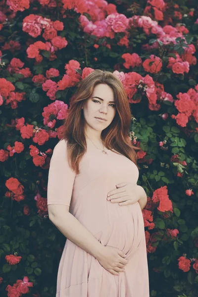 Vöröshajú Terhes Womann Közelében Rózsa Bokor — Stock Fotó
