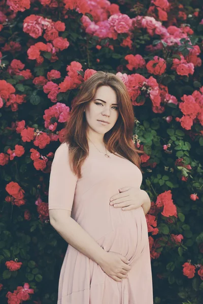 Redhead Gravid Womann Nära Rosor Bush — Stockfoto