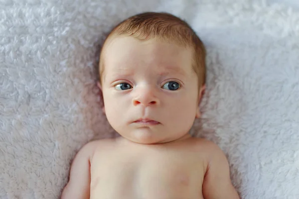 Porträtt av lilla nyfödda — Stockfoto