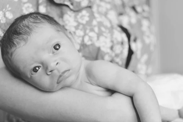 Newbon on mother's hand — Stock Photo, Image