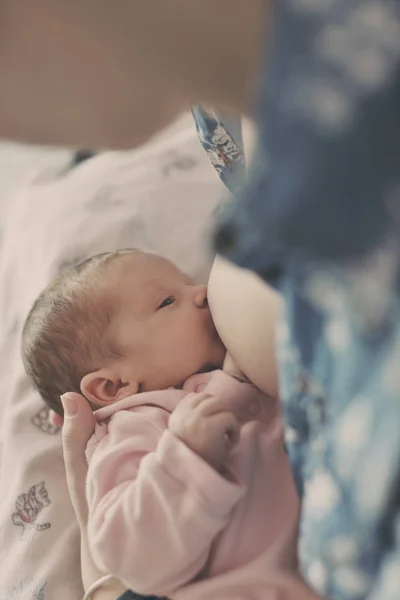 Mother feeding newborn — Stock Photo, Image