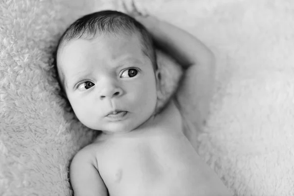 Портрет маленького новорожденного — стоковое фото