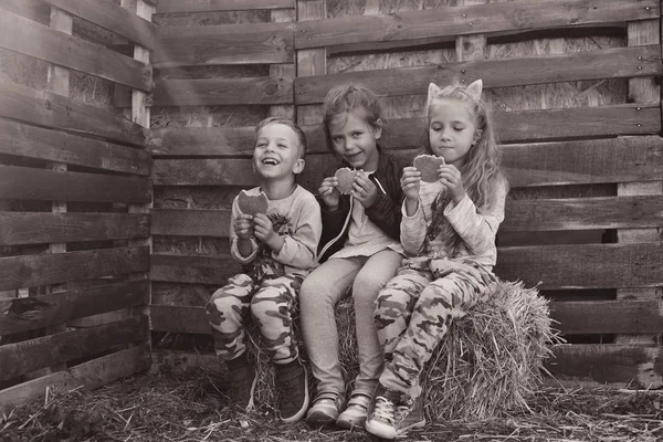 Három Gyermek Széna Étkezési Waffels Vidéken — Stock Fotó