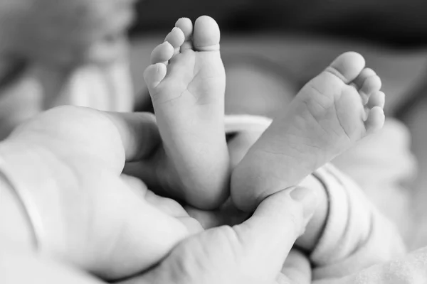 Pasgeboren Voet Hand Van Moeder — Stockfoto