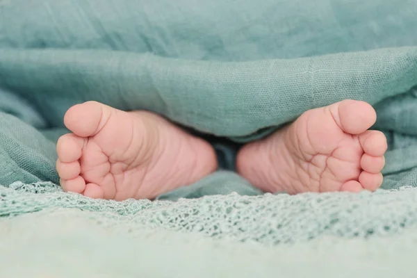 Νεογέννητο μωρό πόδια — Φωτογραφία Αρχείου