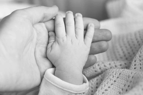 Newborns Little Hand Mother Palm — Stock Photo, Image