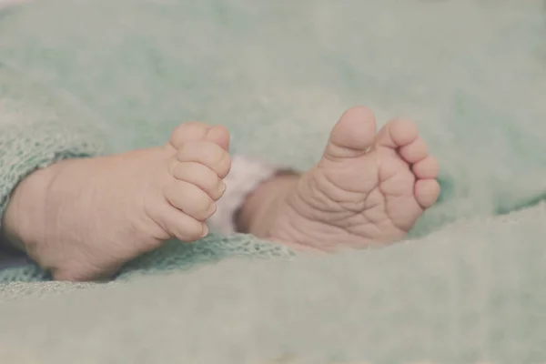 Newborn baby feet — Stock Photo, Image