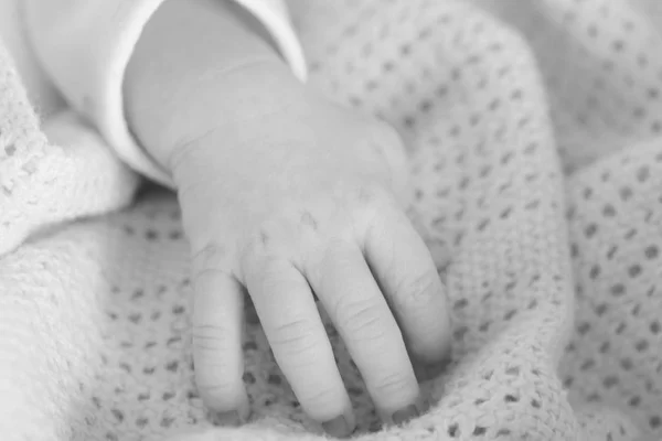 Hand van de pasgeboren baby — Stockfoto