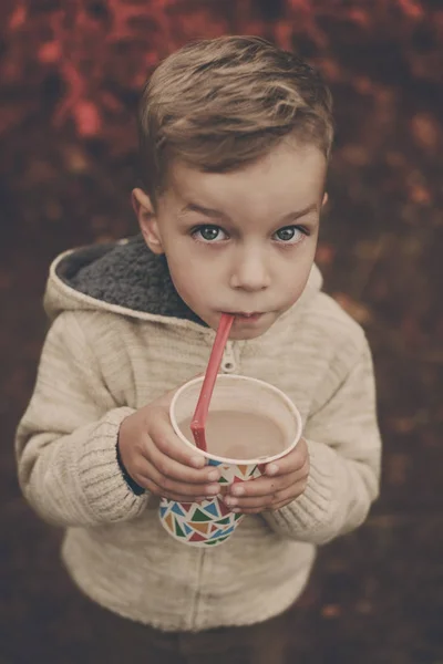 Kis Gyermek Séta Erdőben Iszik Forró Kakaót Őszi Nap — Stock Fotó