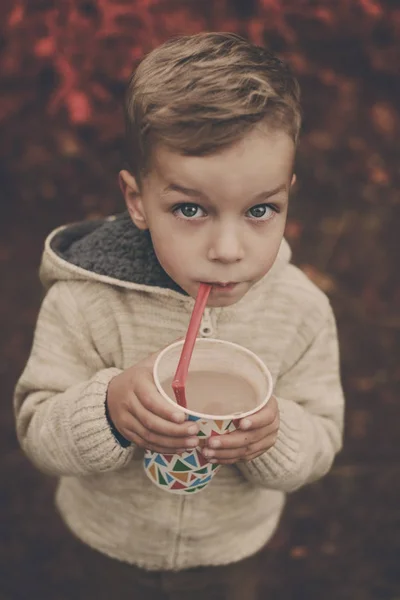 Pequeño Niño Caminando Bosque Bebiendo Cacao Caliente Día Otoño —  Fotos de Stock