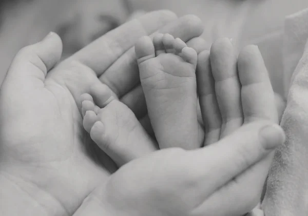 Foot in  hand — Stock Photo, Image