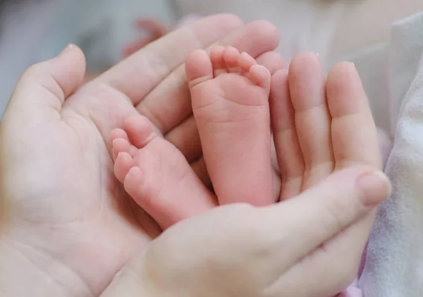 Voet in de hand — Stockfoto