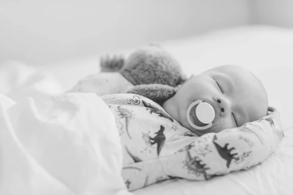 Recién Nacido Está Durmiendo Con Oso Maniquí — Foto de Stock