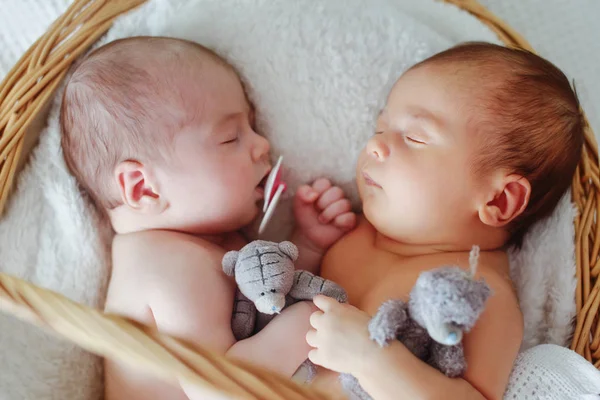 Gemenii nou-născuți dorm — Fotografie, imagine de stoc