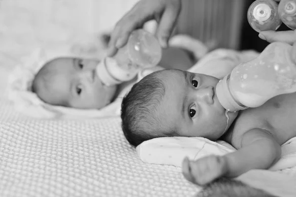 Mutter Füttert Zwei Zwillinge Aus Der Flasche — Stockfoto