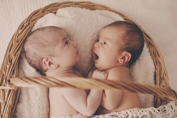 Dos Gemelos Divertidos Que Yacen Cesta —  Fotos de Stock