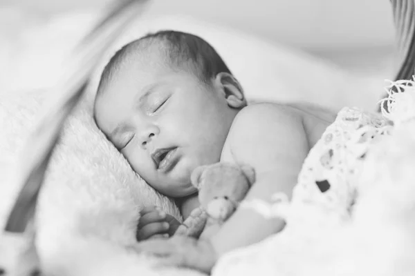 Neugeborenes Schläft Kleinem Korb Mit Teddybär — Stockfoto