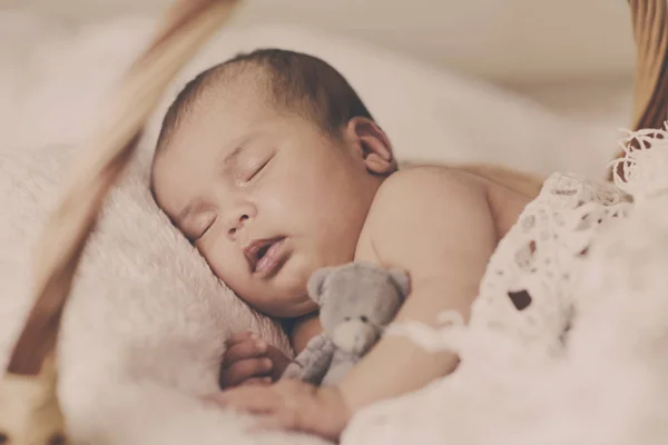 Újszülött Baba Alszik Egy Kis Kosár Mackó — Stock Fotó