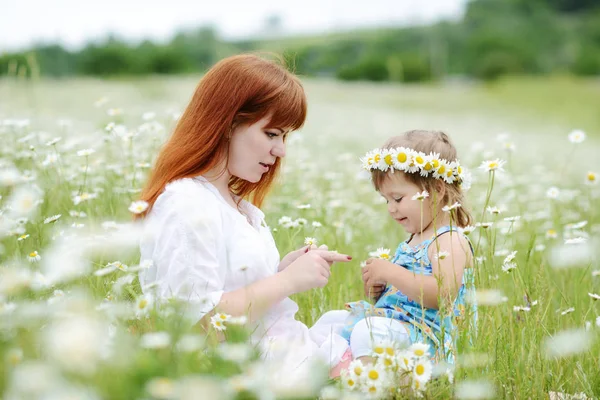 Family Having Fun Field Daisies — Stock Photo, Image