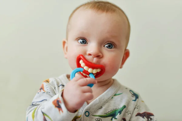 portrait of baby with funny dummy in mouth