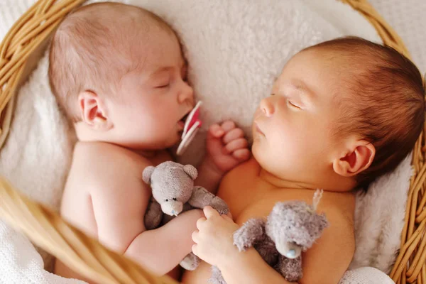 Dois Gêmeos Doces Dormindo Cesta — Fotografia de Stock