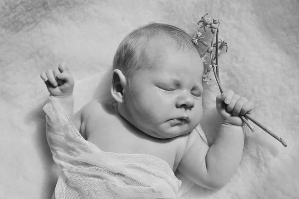 Newborn Baby Sleeping Bed — Stock Photo, Image