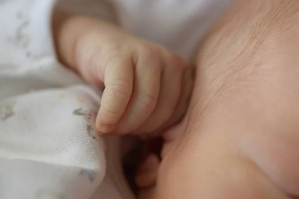 Mano del bebé recién nacido — Foto de Stock