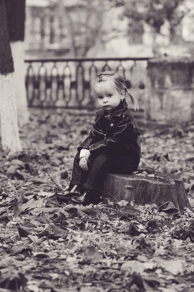 Toddler girl  in fall — Stock Photo, Image