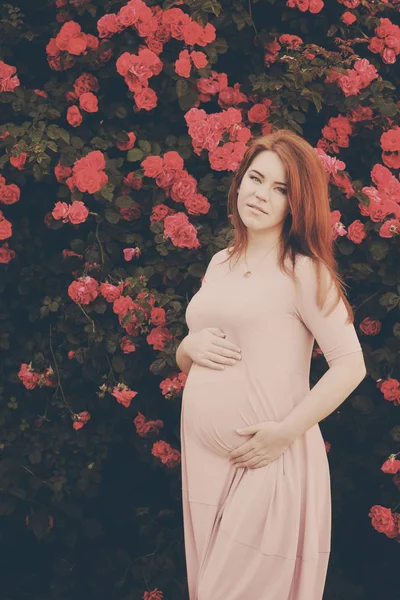 Pregnant woman near the roses — Stock Photo, Image