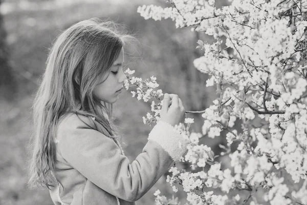 Schattig Jong Meisje Bloeiende Kersenboom Tuin Mooie Lentedag — Stockfoto