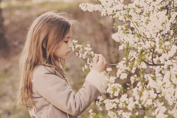 Adorabile Ragazza Fiore Giardino Ciliegi Nella Bella Giornata Primaverile — Foto Stock