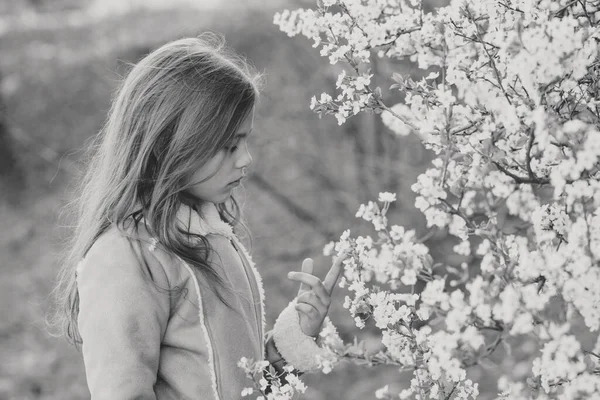 Schattig Jong Meisje Bloeiende Kersenboom Tuin Mooie Lentedag — Stockfoto