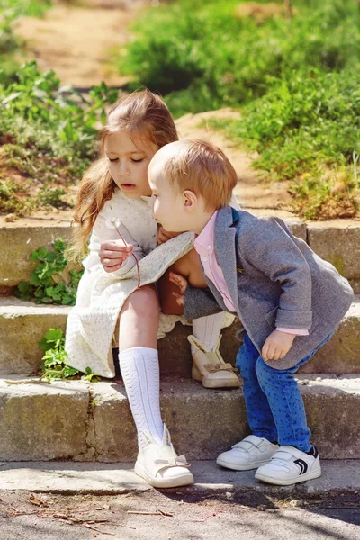 Hermana Feliz Hermano Están Soplando Diente León — Foto de Stock