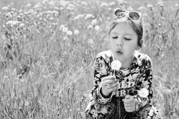 Klein Meisje Blaast Paardebloemen Weide — Stockfoto