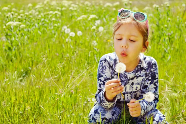 Liten Flicka Blåser Maskrosor Ängen — Stockfoto