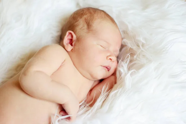 Portrait Sweet Sleeping Newborn Fur — Stock Photo, Image