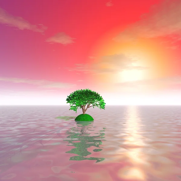 A árvore misteriosa no oceano ao pôr-do-sol — Fotografia de Stock