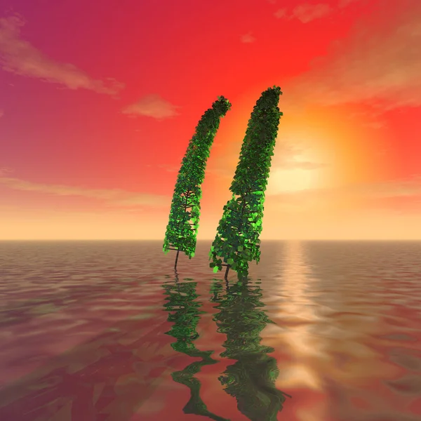 Mysterious plants stick out from the surface of the ocean against the background of sunse — Stock Photo, Image