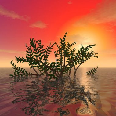 Okyanus yüzeyinden gizemli dalları uzat