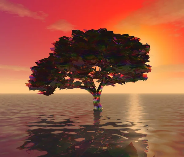 Uma árvore misteriosa na superfície do oceano — Fotografia de Stock