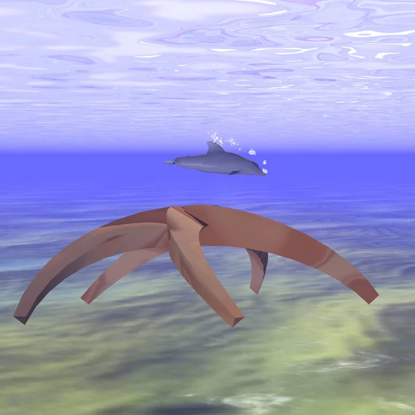 Estrela-do-mar misteriosa e golfinho — Fotografia de Stock