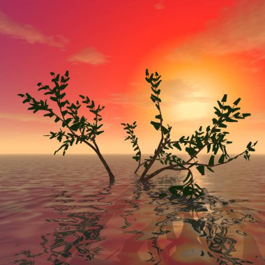  Okyanusun yüzeyinde gizemli bir ağaç