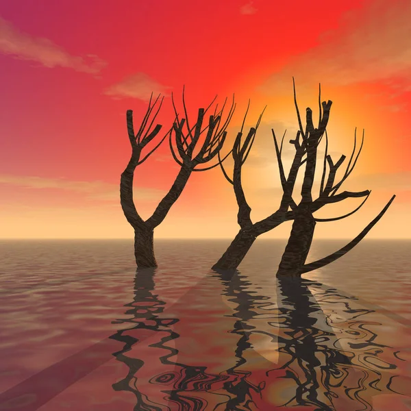 Mysterious trees in the shallow waters of the ocean — Stock Photo, Image