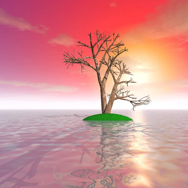 Mysterious tree on the surface of the ocean — Stock Photo, Image