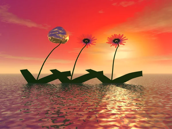 Mysterious flowers on the surface of the ocean — Stock Photo, Image
