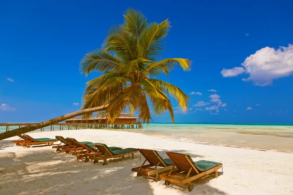 Лежаки на Мальдивском пляже — стоковое фото