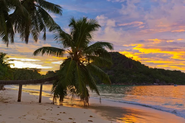 Tropischer Strand Cote d 'or bei Sonnenuntergang - Seychellen — Stockfoto