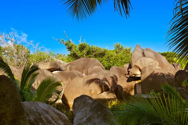 Paesaggio tropicale alle Seychelles — Foto Stock