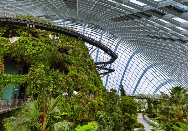 Wolkenwaldkuppel in Gärten an der Bucht in Singapore — Stockfoto